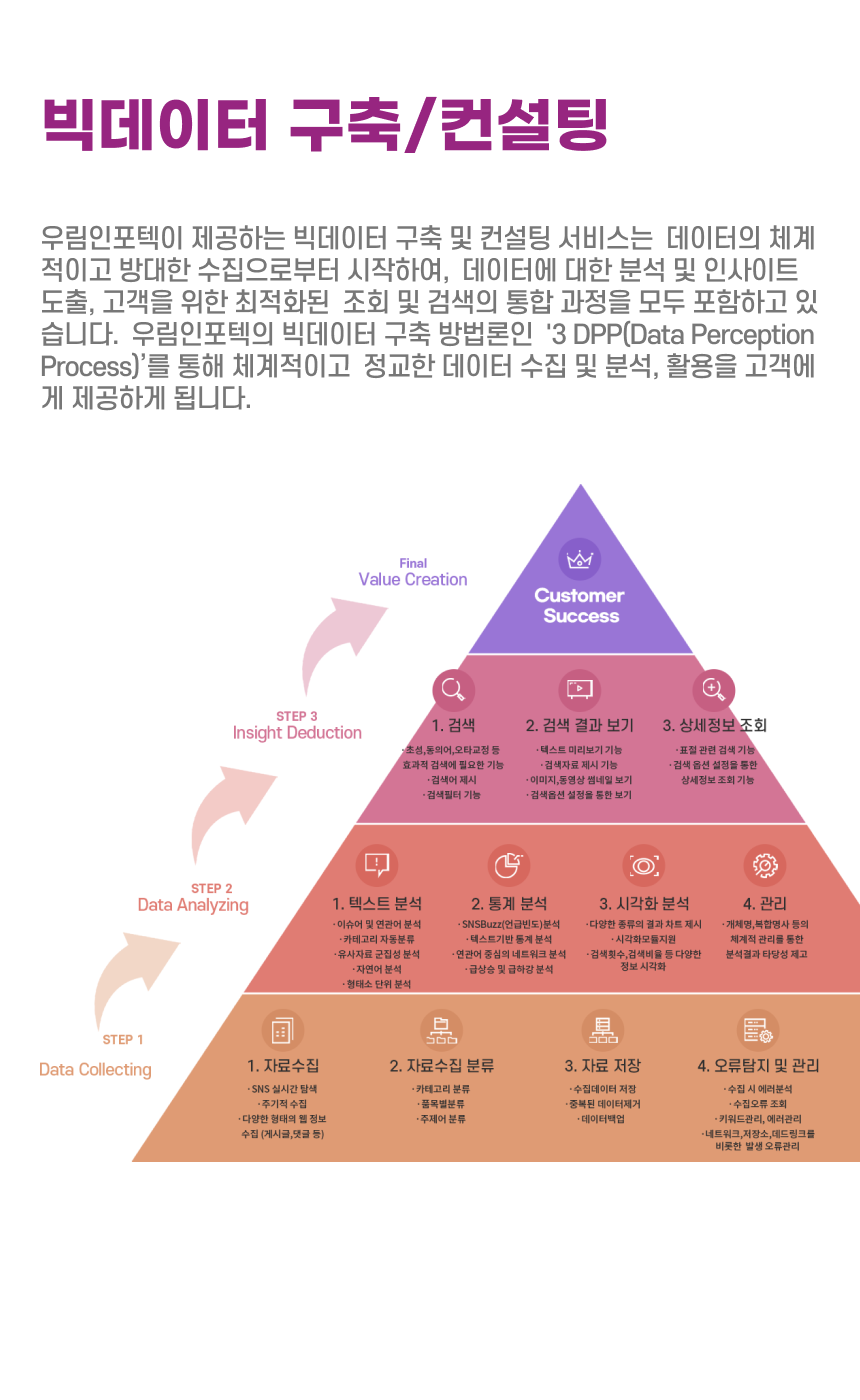 빅데이터 구축/컨설팅